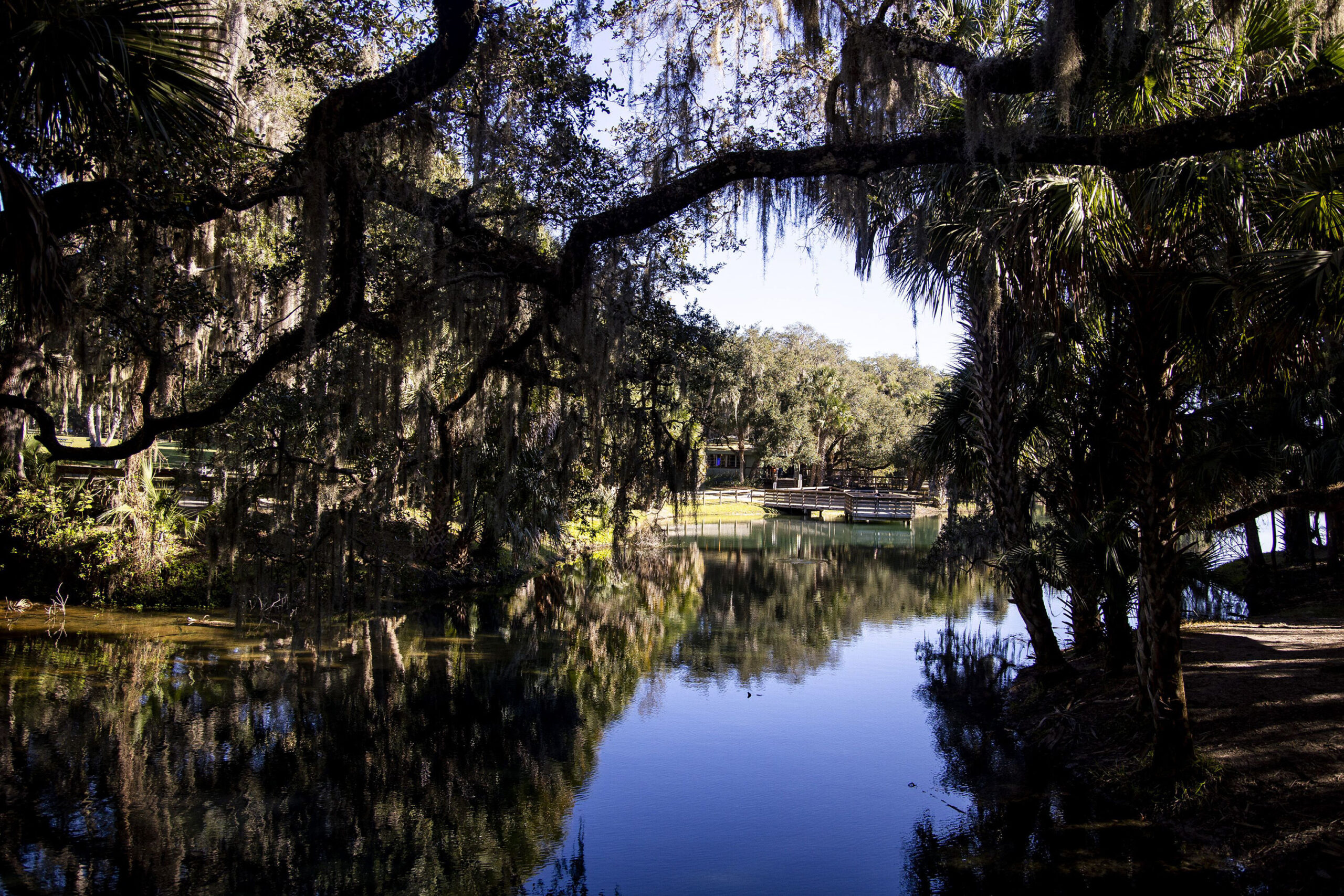 Calm, clear waters add to the scenery at Gemini Springs Park in DeBary, Florida, on Nov. 30, 2021. (Patrick Connolly/Orlando Sentinel/TNS)