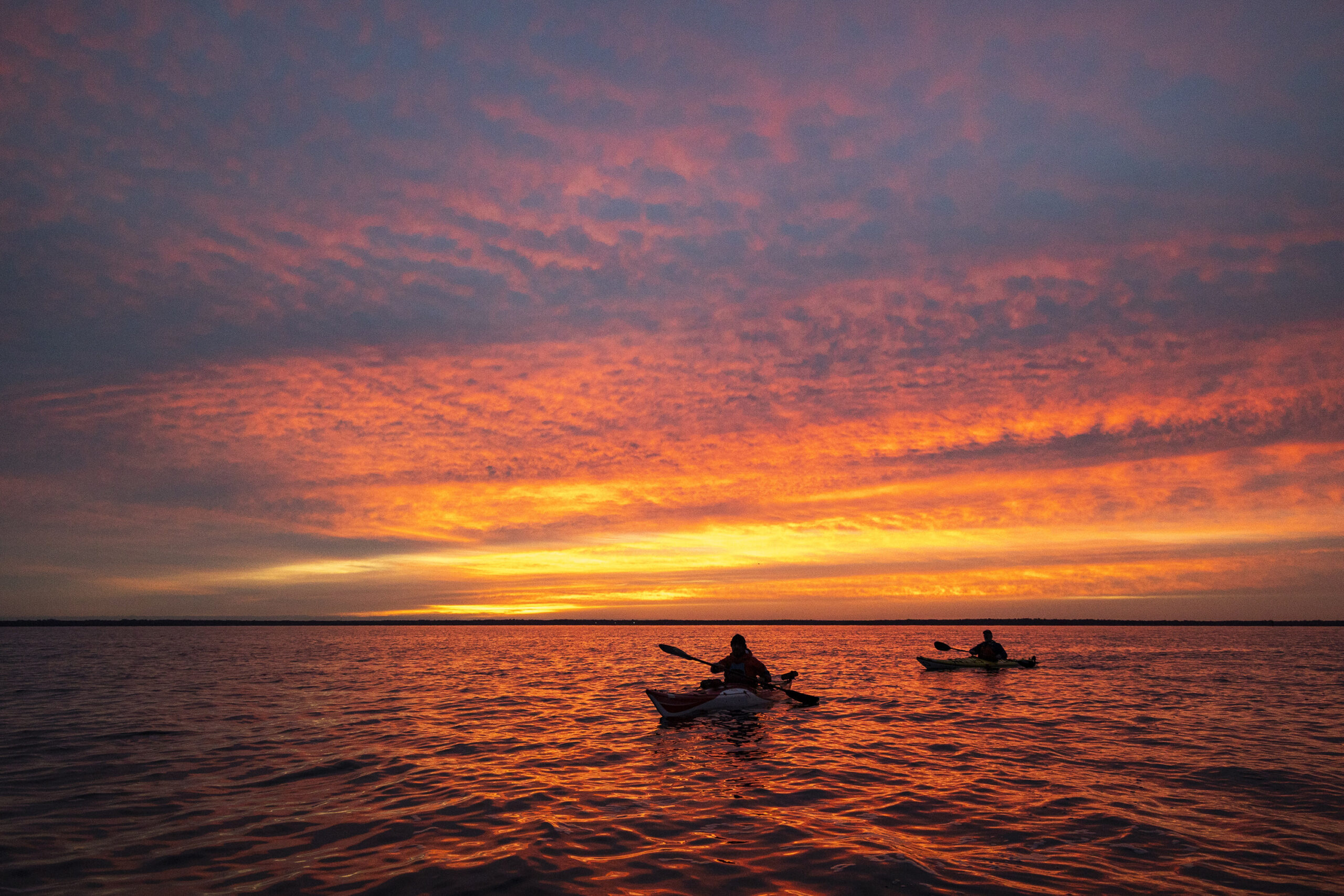 Greg Pflug, center, and Fred Goebel, right, are silhouetted by a vibrant sunrise over Lake George in Ocala National Forest during a kayak trip on the St. Johns River. (Patrick Connolly/Orlando Sentinel/TNS)